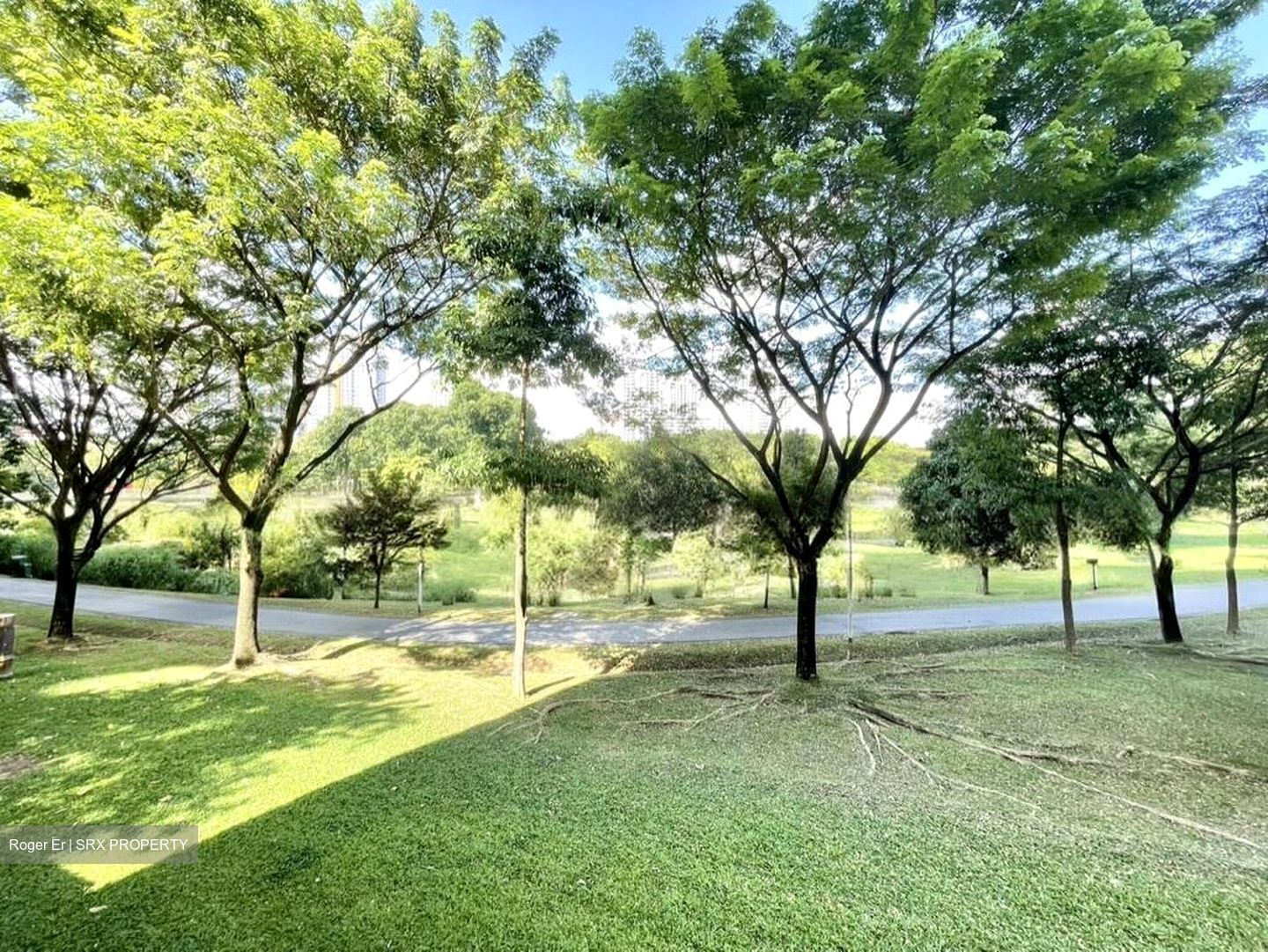 Blk 241 Bishan Street 22 (Bishan), HDB 4 Rooms #500894231